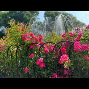 Meet your Posher, Alicia